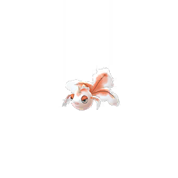 Goldeen